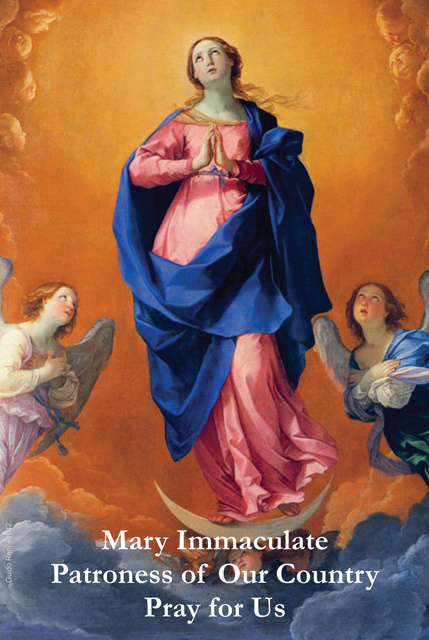 Dec 8th: *ENGLISH* Religious Liberty Prayer Card - Immaculate Conception***BUYONEGETONEFREE***